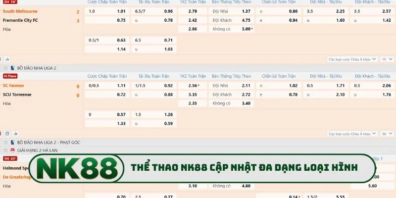 Thể thao NK88 cập nhật đa dạng loại hình